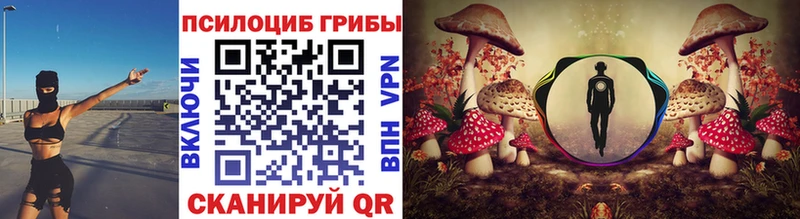 Галлюциногенные грибы Psilocybe  как найти наркотики  Курильск 