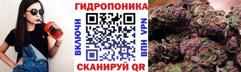 Конопля THC 21%  Курильск 